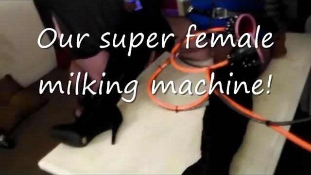 Rousse Suce la bite dure de fille et chien xxx la viande avec du sperme sur le visage.