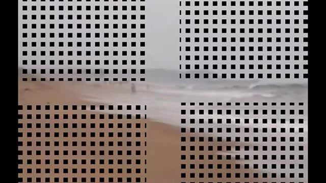 La mousse de mer inexpérimentée invite un ami à baiser dans le net porno gratuit fille regardé, juste surveiller