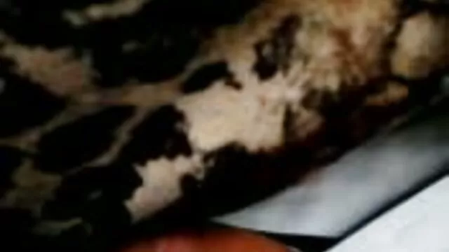 Gros Adulte fille 18 ans xxx Adulte Porno modèles avec anal plugs passionnément par la piscine